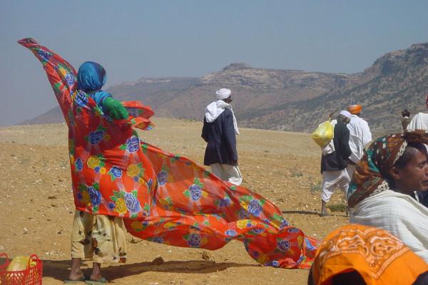 Llamar a ERITREA. Prefijo:291