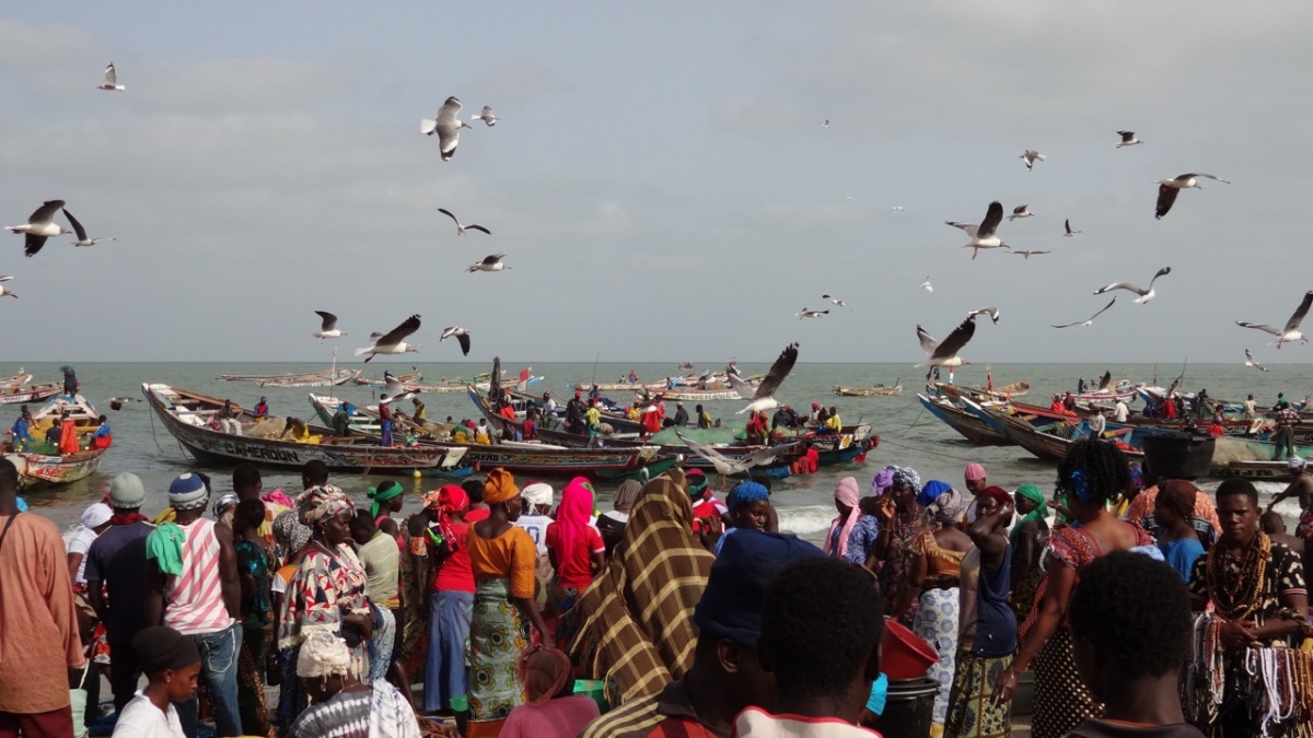 Cheap calls to Gambia Call to Gambia. Prefijo:220